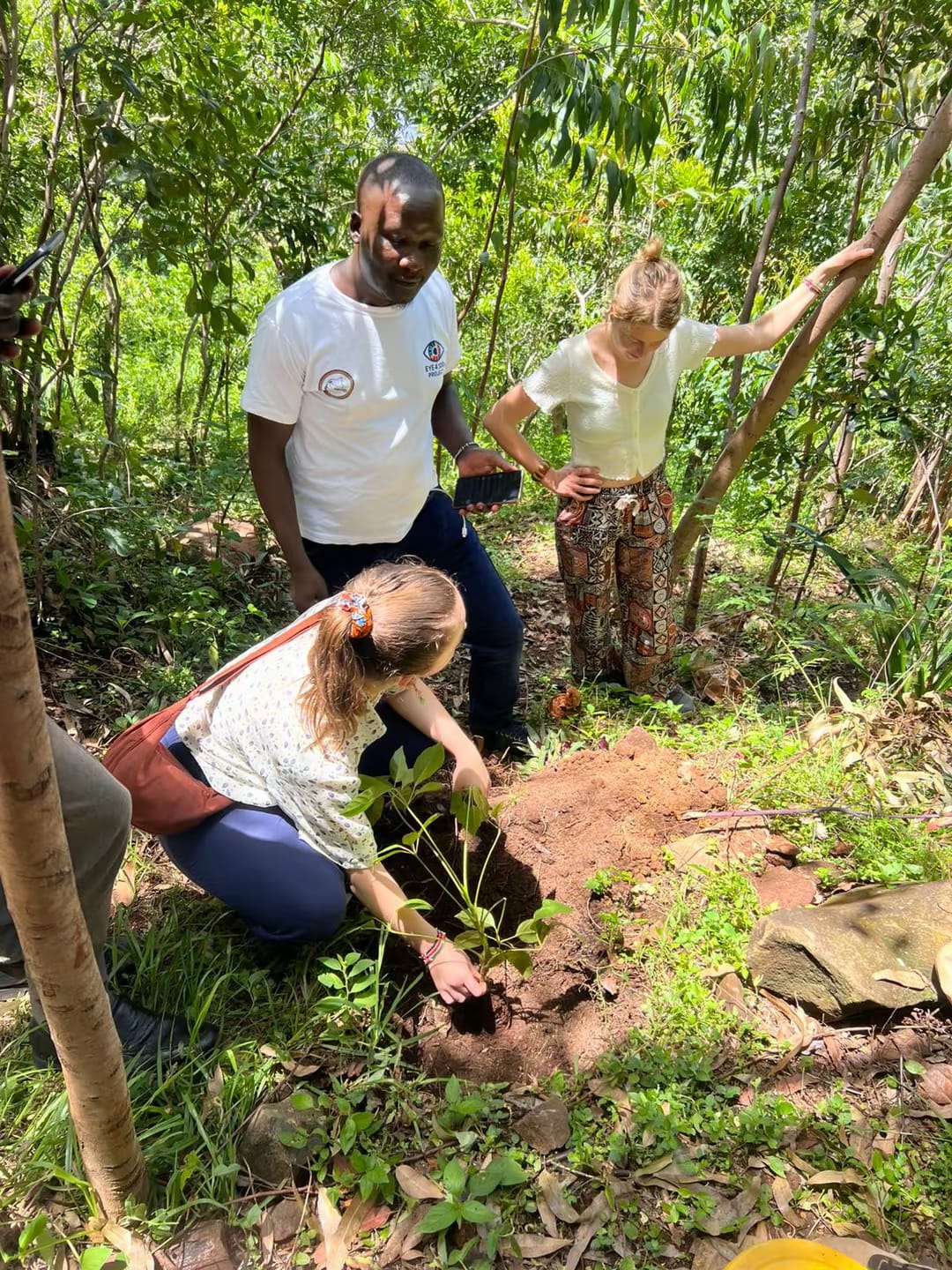 EU representatives planting trees in Kisumu